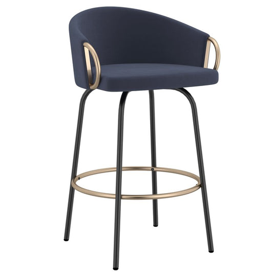 Lavo 26" Counter Stool, Set of 2, in Blue and Black and Gold