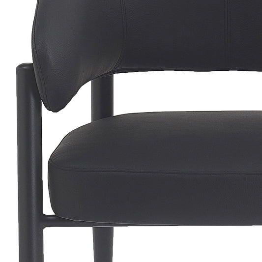Bronson Dining/Lounge Chair, Set of 2
