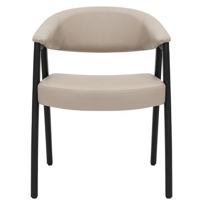 Bexley Dining/Lounge Chair, Set of 2 in Mushroom and Black