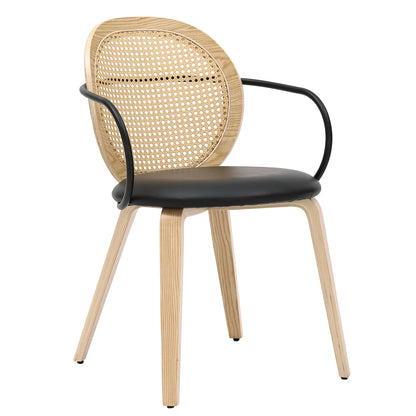 Orias Dining/Lounge Chair, Set of 2