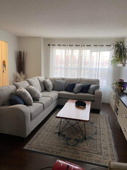6090 Collection  Modani Linen Sectional